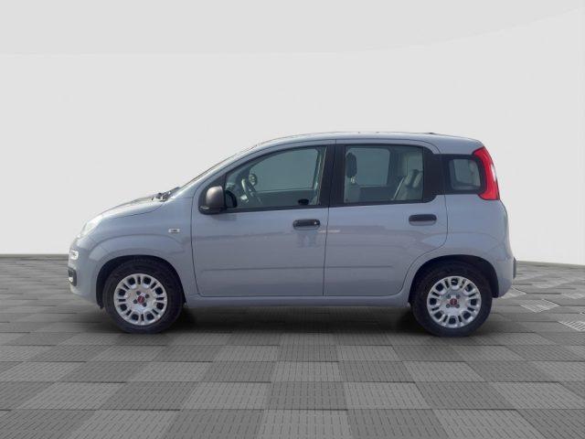 FIAT Panda Panda 1.0 FireFly Hybrid