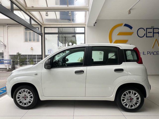 FIAT Panda 1.2 EasyPower gpl da ?119,00 mensili