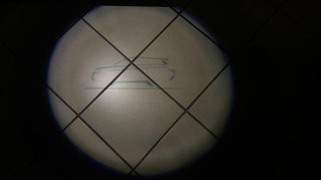 LAND ROVER Range Rover Evoque 2.0 TD4 150 CV 5p. SE