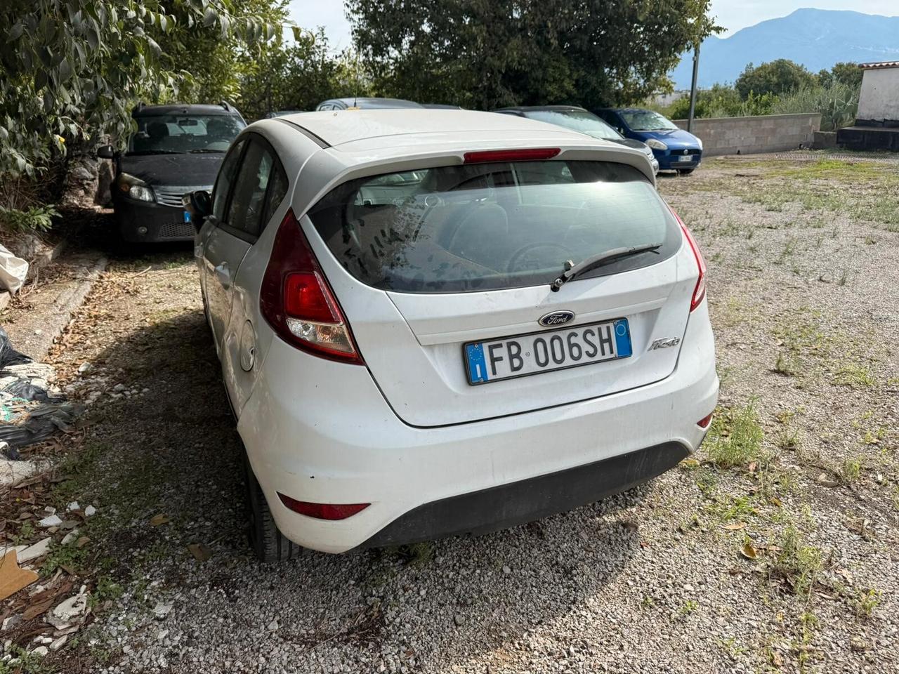 Ford Fiesta 1.5 Tdci 75cv 5P Motore rotto