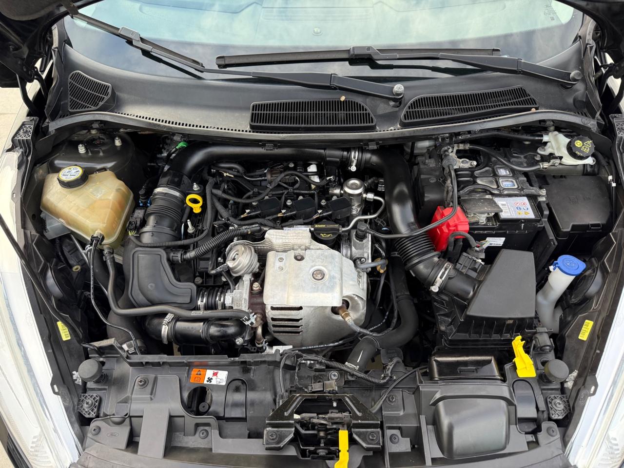 Ford Fiesta 1.0 EcoBoost 100CV 5 porte Individual