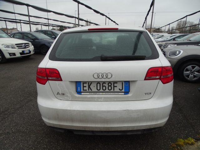 AUDI A3 SPB 1.6 TDI CR F.AP. Young Edition