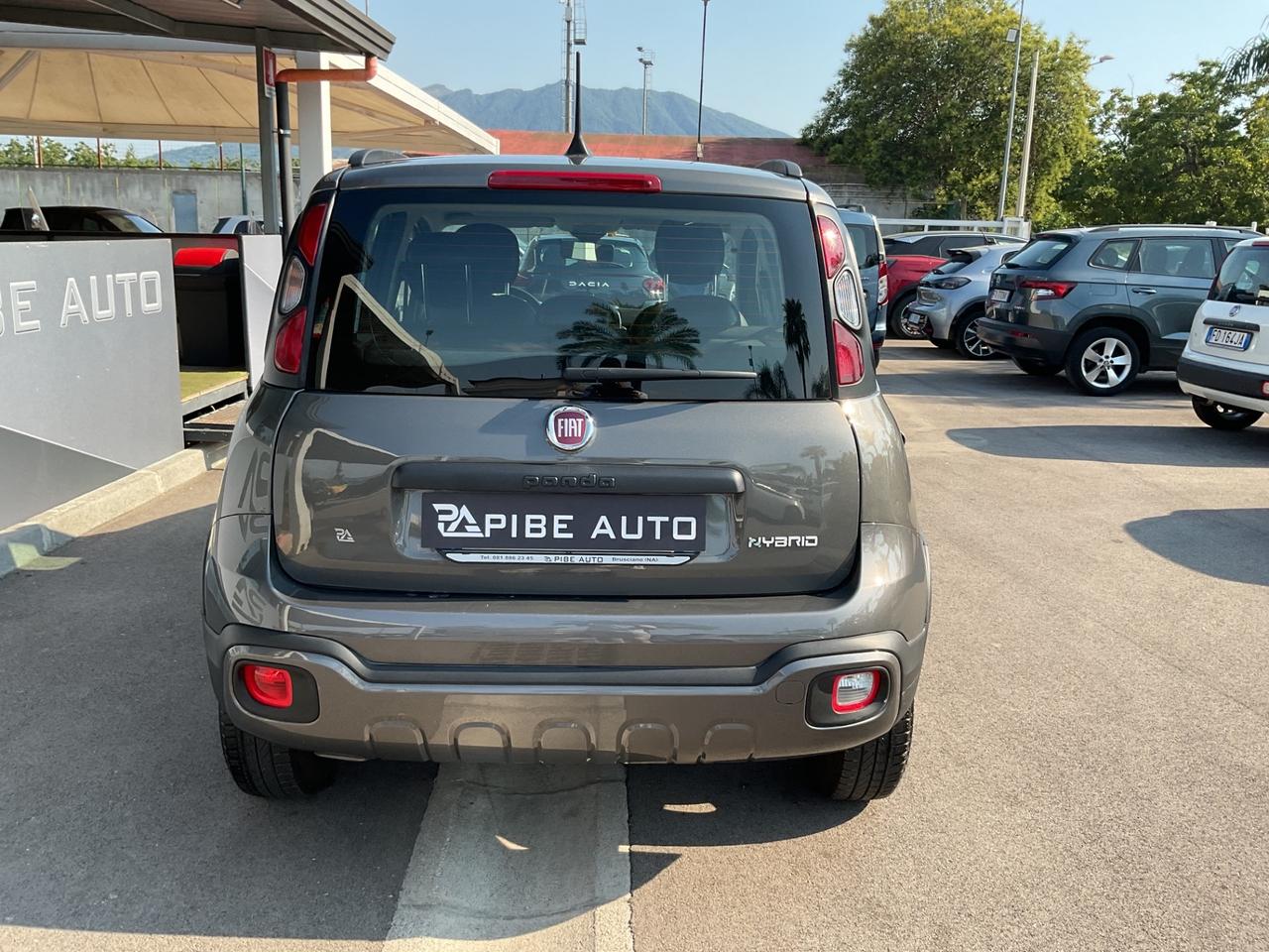Fiat Panda Cross 1.0 FireFly S&S Hybrid