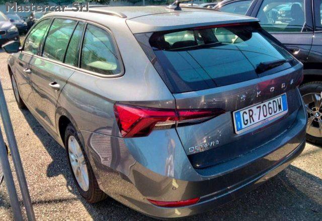 SKODA Octavia Octavia Wagon 2.0 tdi evo AMBITION 115cv dsg - GR7