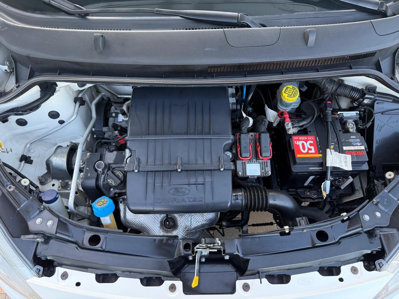 Ford Ka Ka+ 1.2 8V 69CV