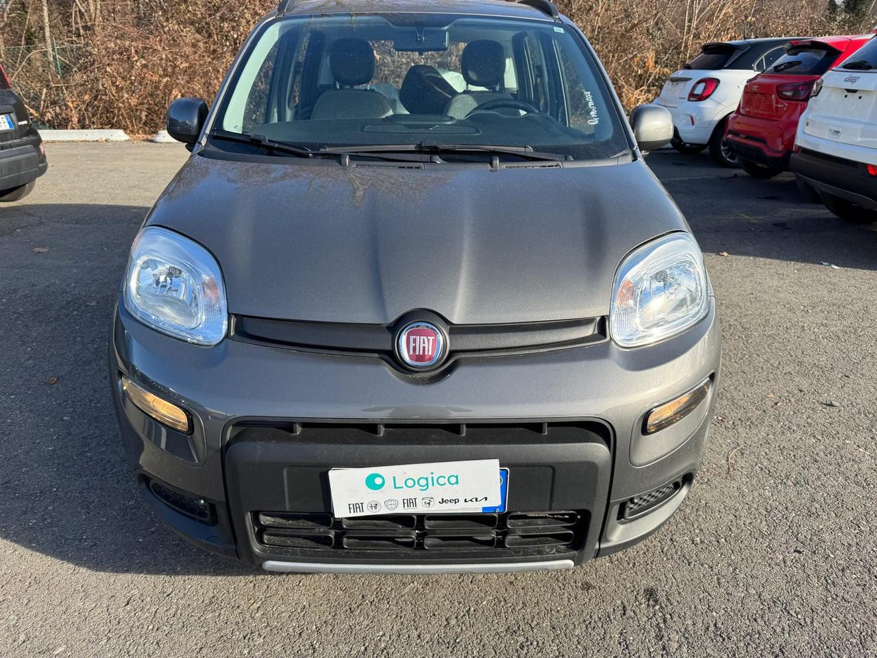 FIAT Panda III 2021 - Panda 1.2 easypower City Life Gpl s&s 69cv