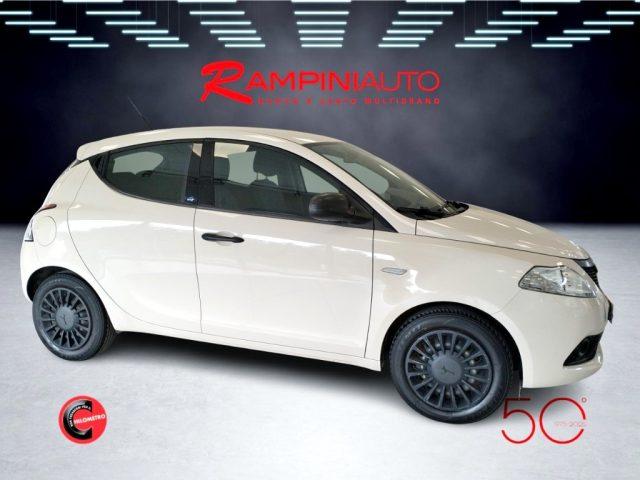 LANCIA Ypsilon 1.2 69 CV 5 porte Elefantino Pronta Consegna