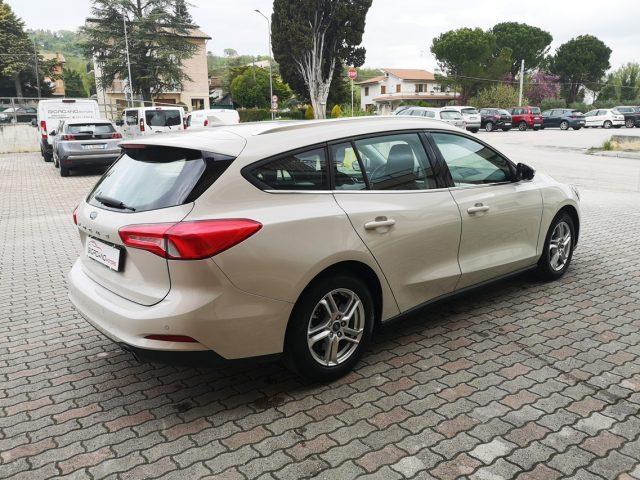 FORD Focus 1.5 EcoBlue 120 CV automatico SW Business Co-Pilot