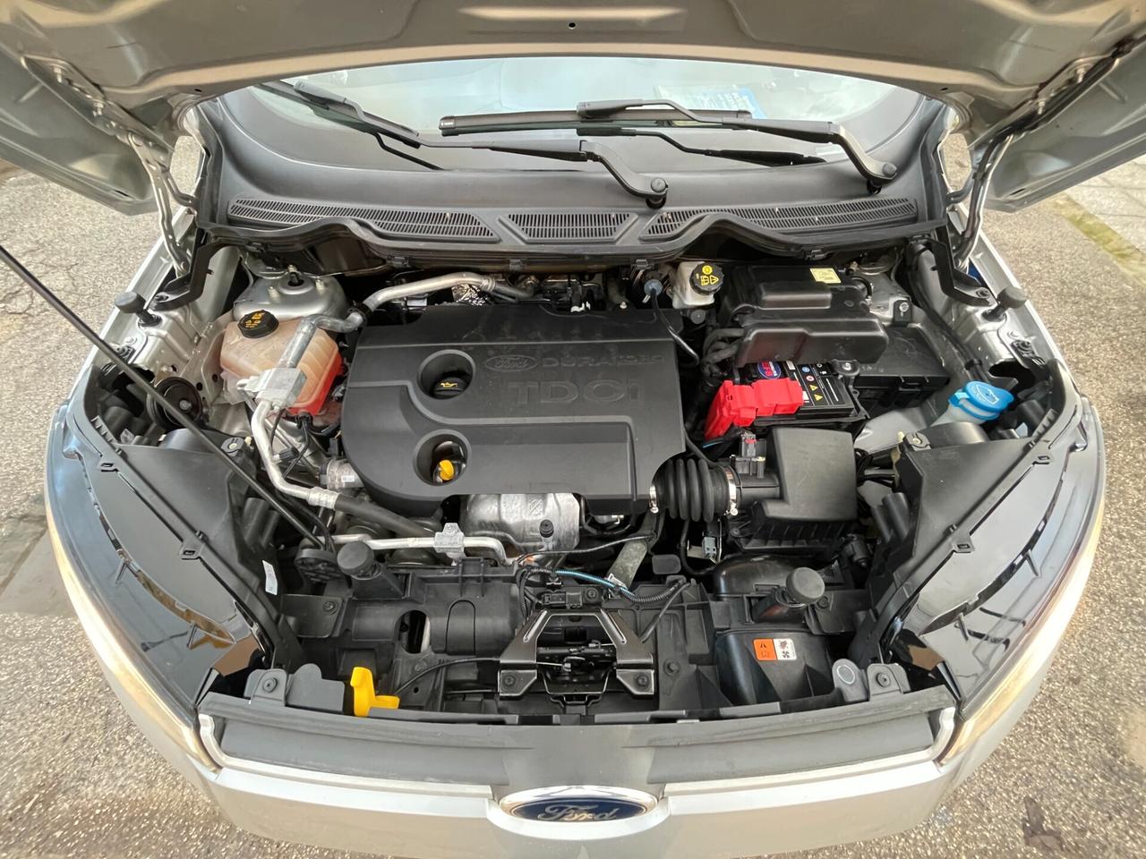 Ford EcoSport 1.5 TDCi 90 CV Business