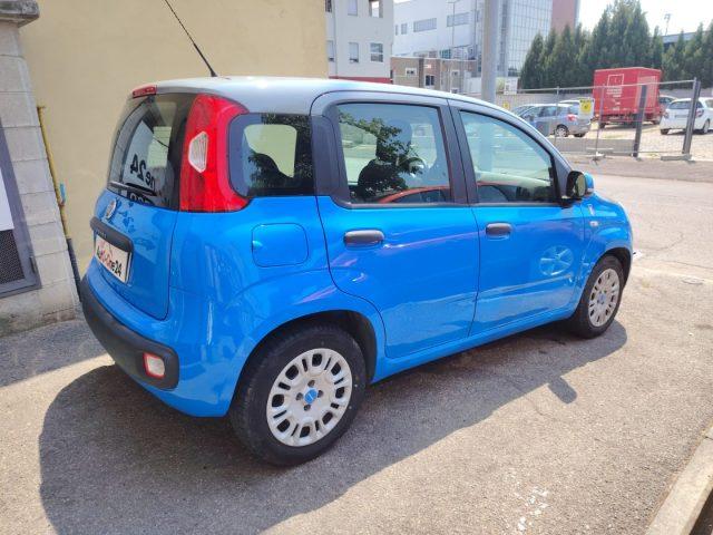 FIAT Panda 1.2 Pandazzurri UNICA-PREZZO REALE-FINANZIABILE