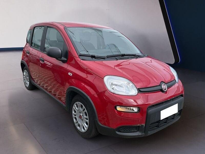 FIAT Panda My24 1.0 70cv Hybrid Panda