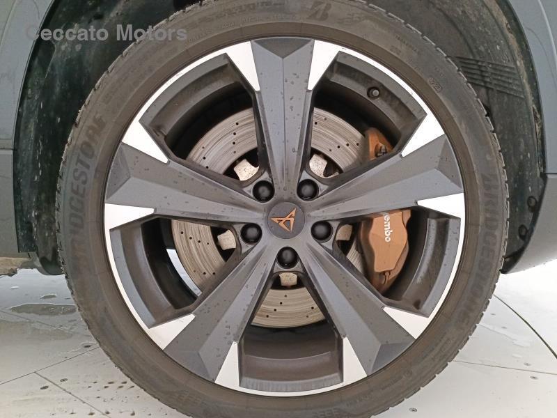 Cupra Ateca 2.0 TSI Tribe Edition 4Drive DSG
