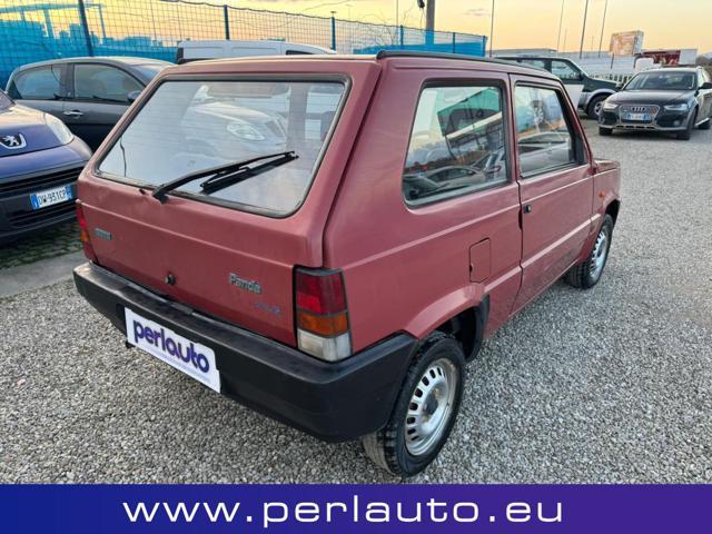 FIAT Panda 1ª serie 1100 i.e. cat Young