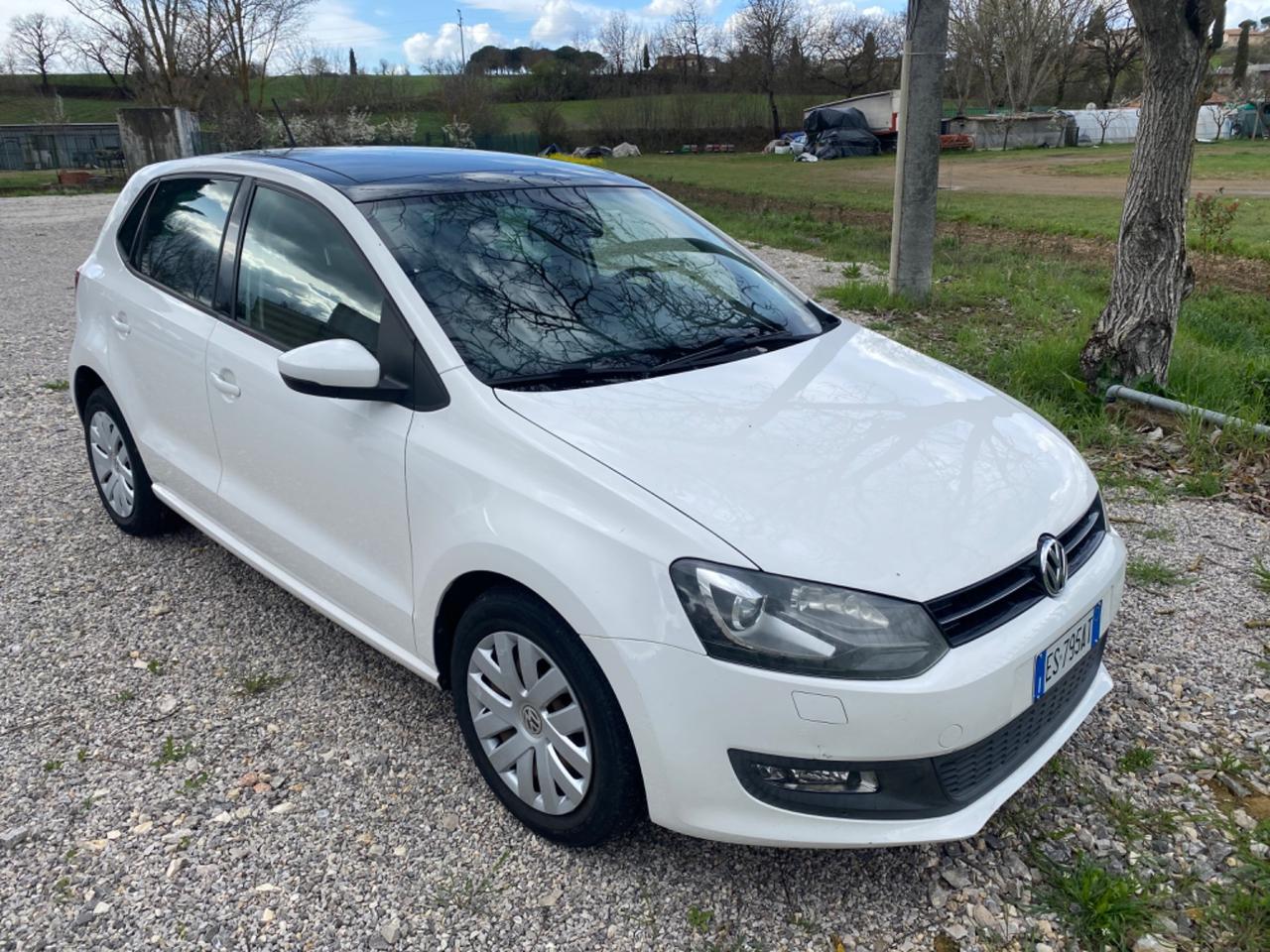 Volkswagen Polo 1.6 TDI 90CV DPF 5 porte Comfortline