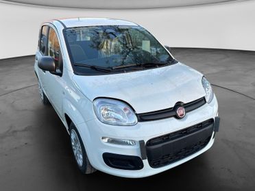 FIAT Pandina III 2024 - Pandina 1.0 firefly hybrid Pop s&s 70cv