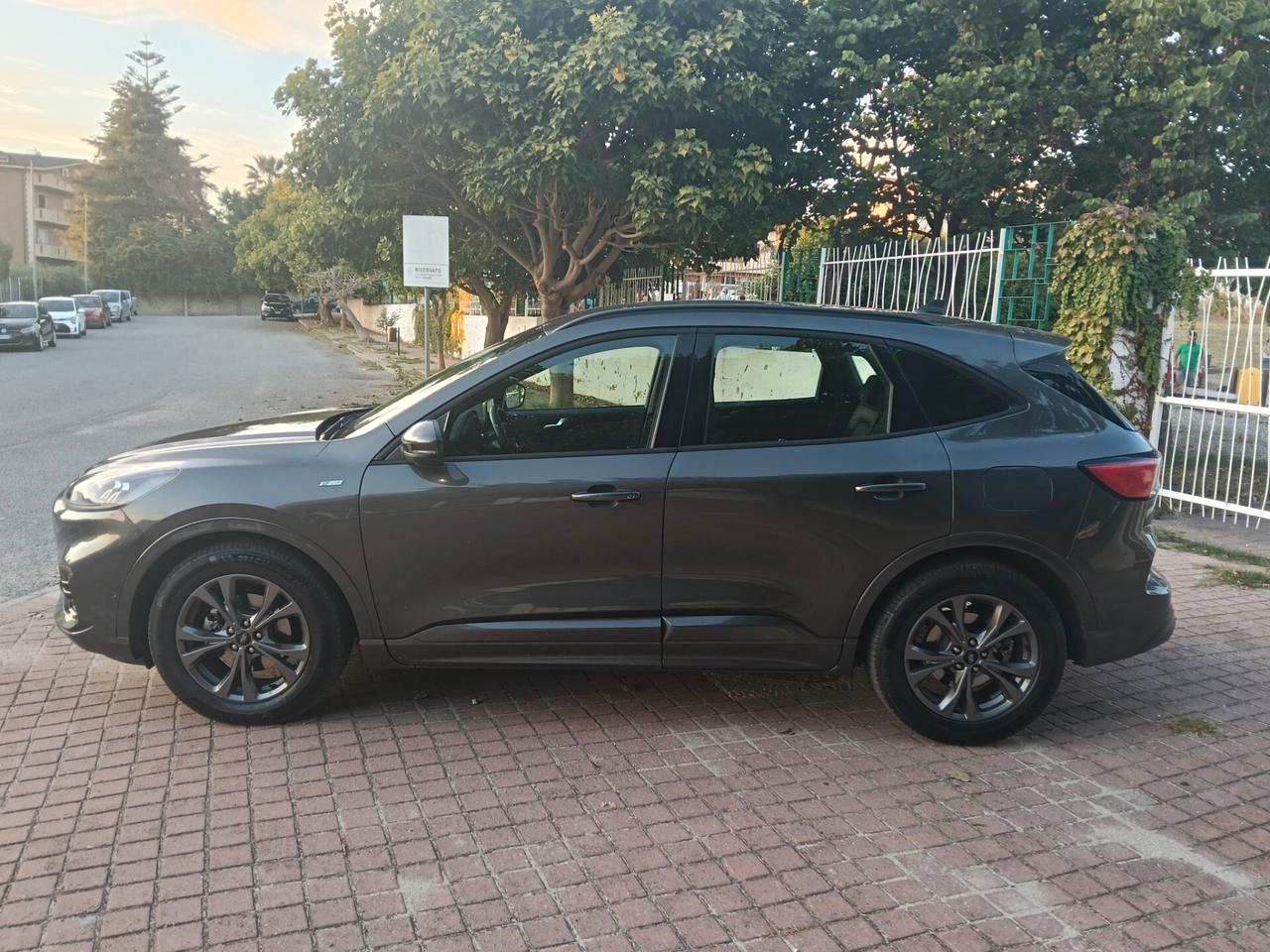 Ford Kuga 1.5 EcoBlue 120 CV 2WD ST-Line