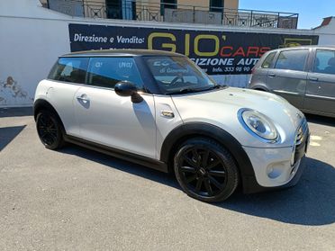 Mini Mini 1.5 One D Hype