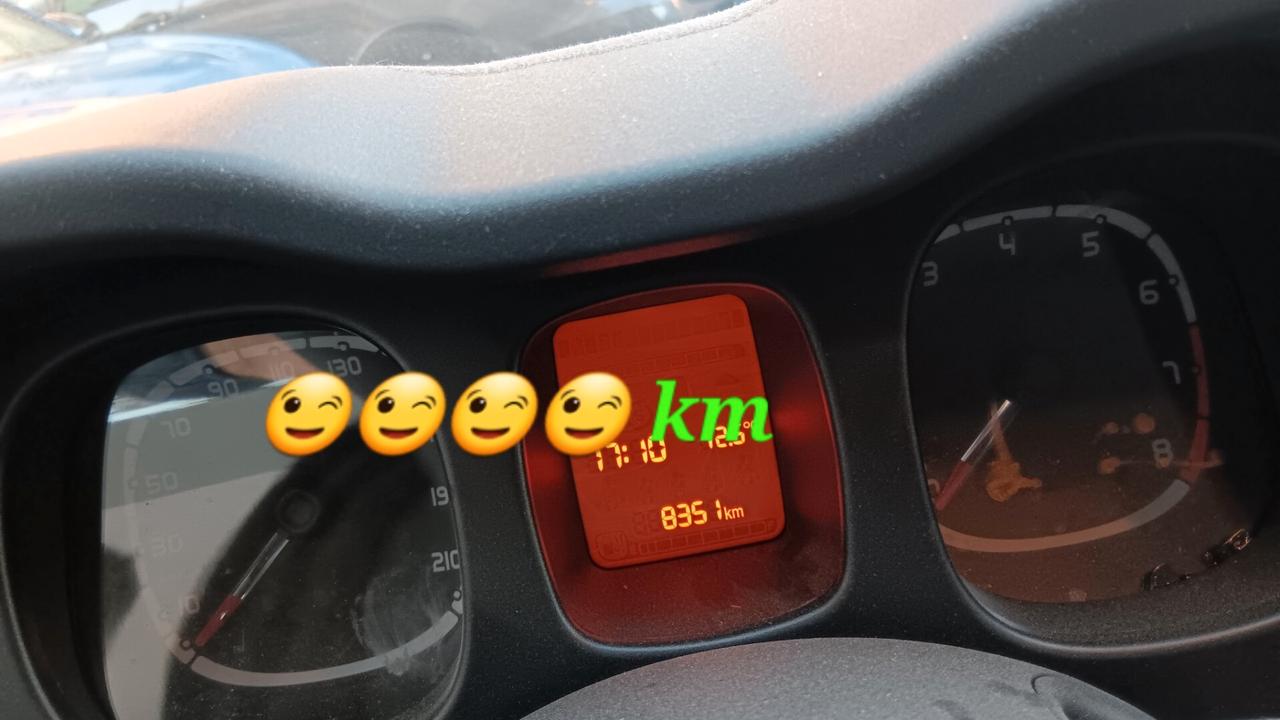 Fiat Panda incidentata sinistrata mondialcars 024