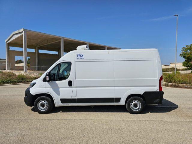 FIAT Ducato 33 2.3 MJT 140CV PM-TM Furgone FRC -20 ATP