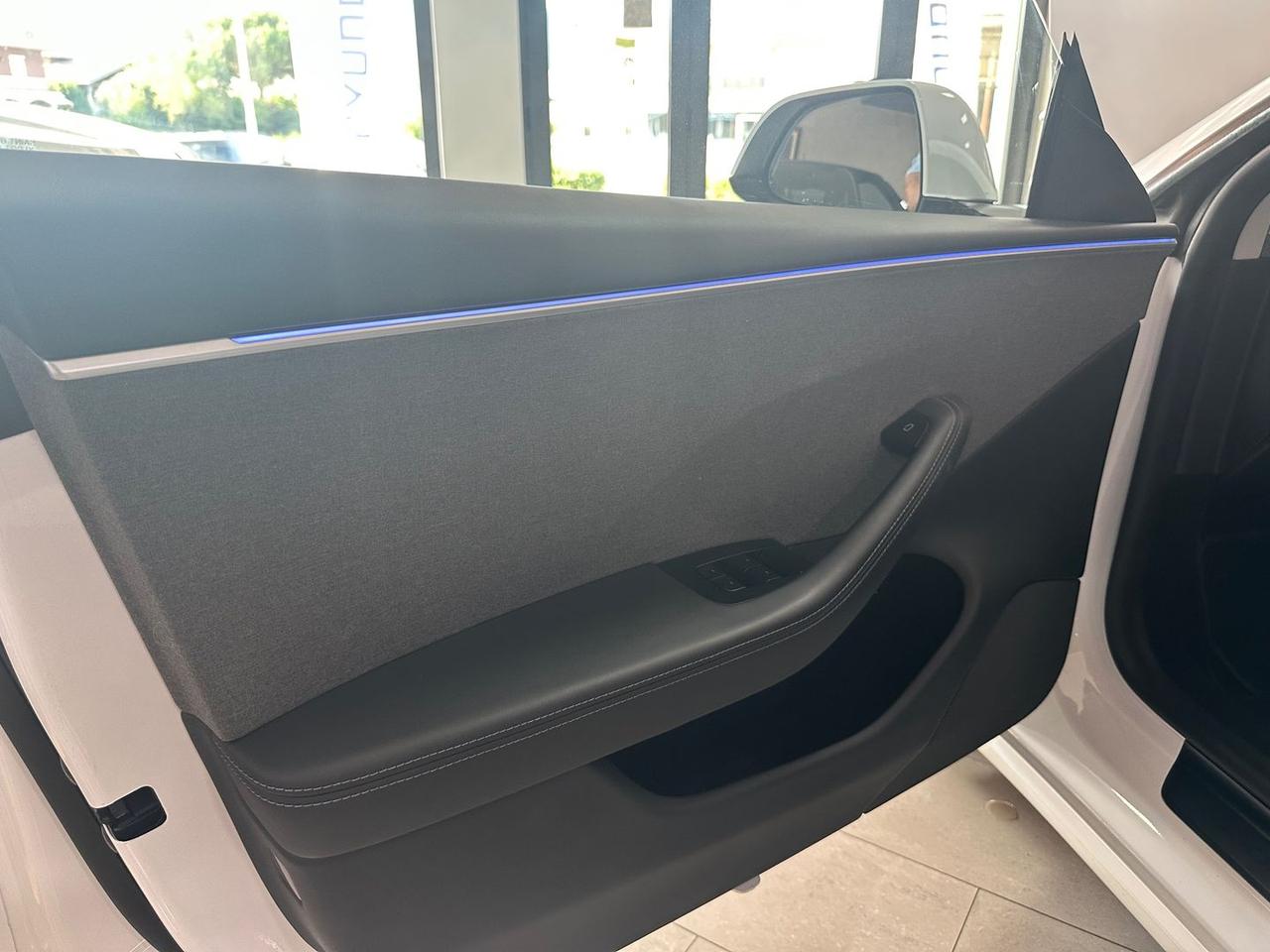 Tesla Model 3 Premium Standard Range Plus 55 kWh #6112