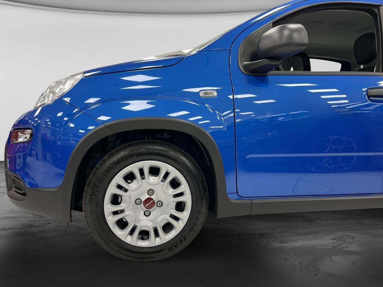 FIAT Panda III 2021 - Panda 1.0 firefly hybrid s&s 70cv