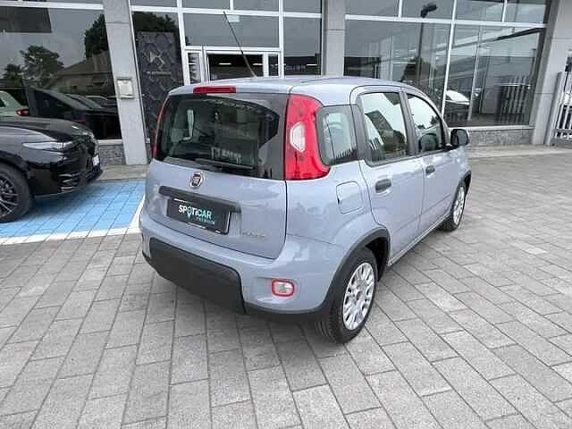 Fiat Panda 1.0 Hybrid 70cv Usato Garantito