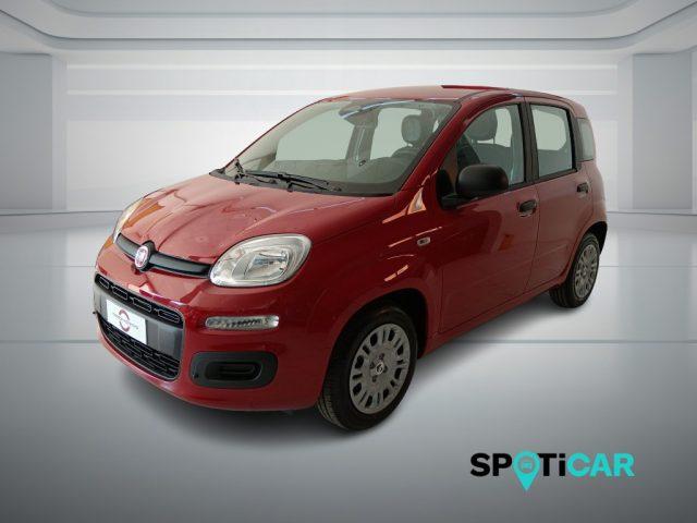 FIAT Panda 1.0 FireFly S&S Hybrid Icon
