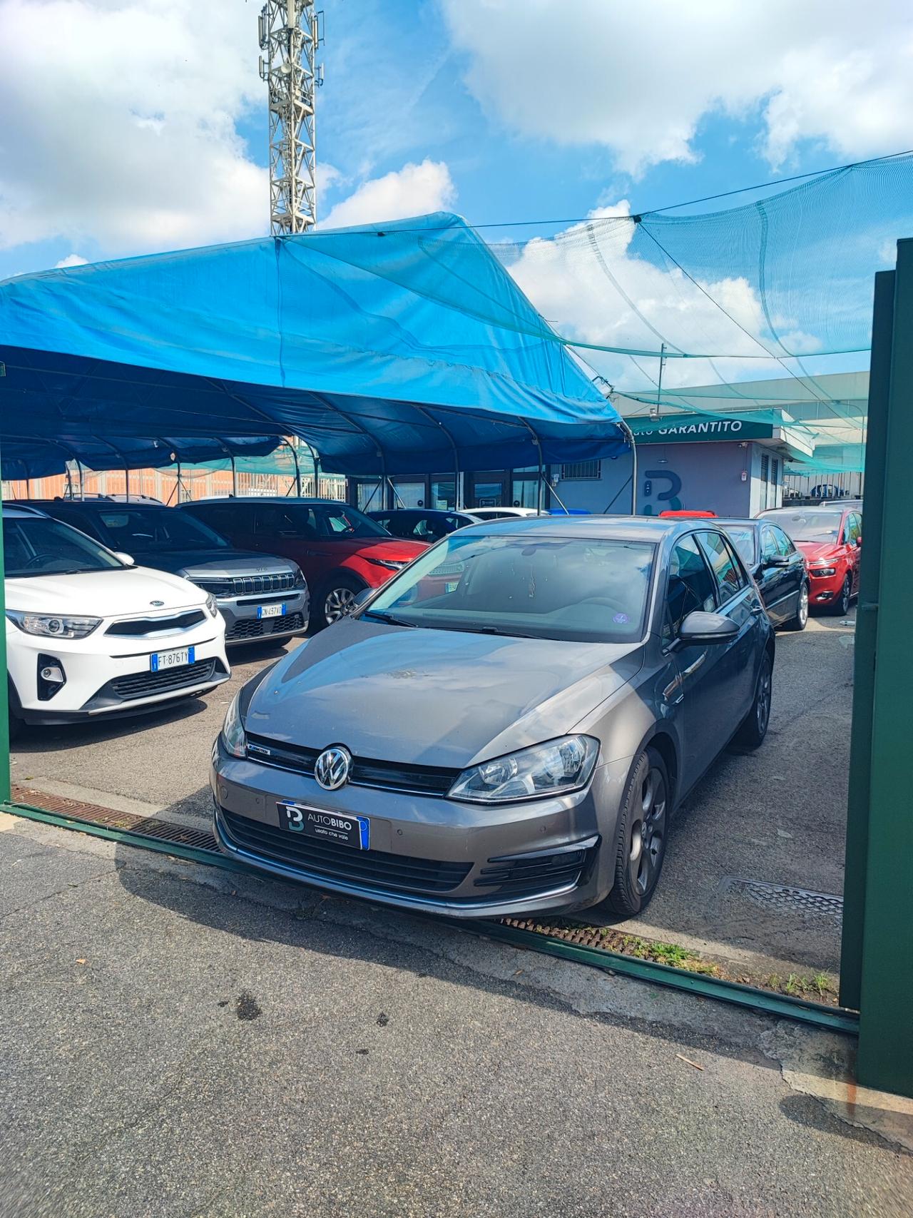 Volkswagen Golf Business 1.4 TGI DSG 5p. Highline BlueMotion