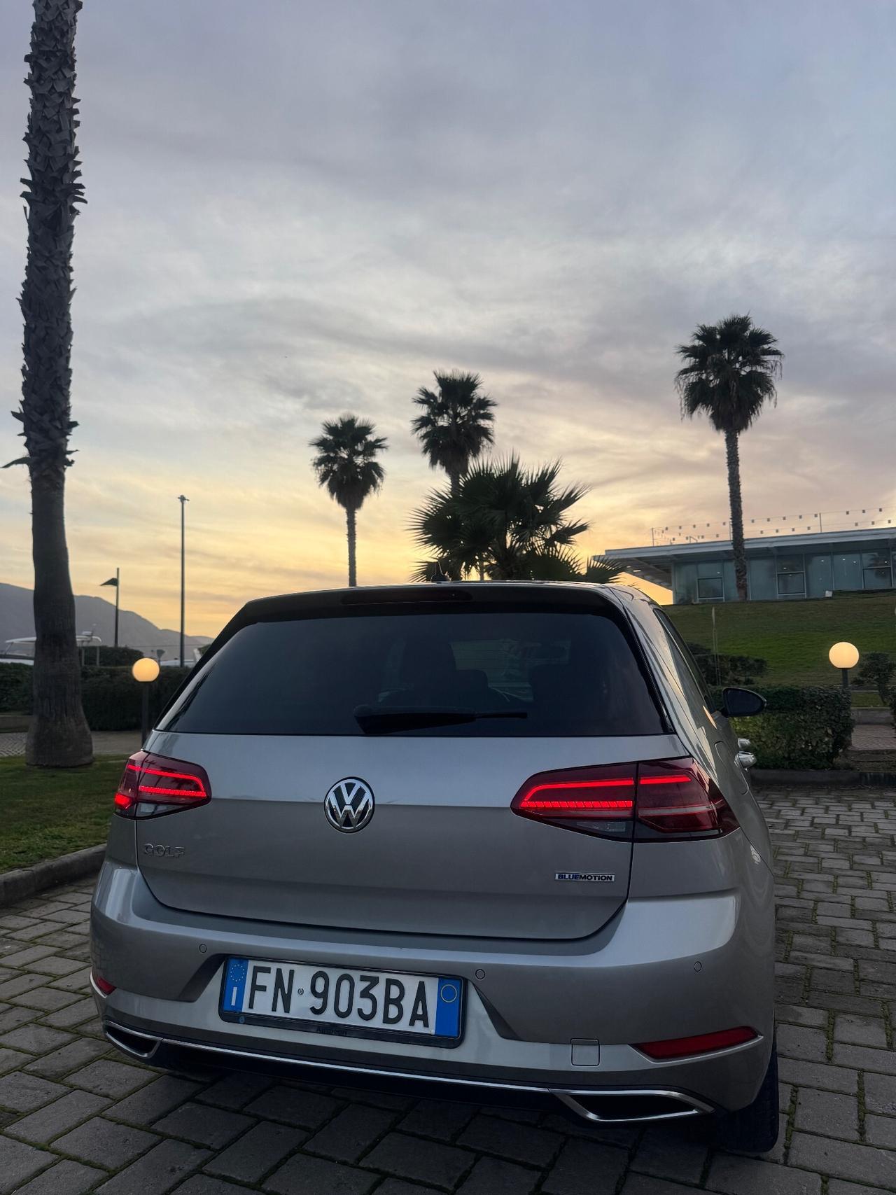 Volkswagen Golf 1.4 TGI 5p. Highline BlueMotion