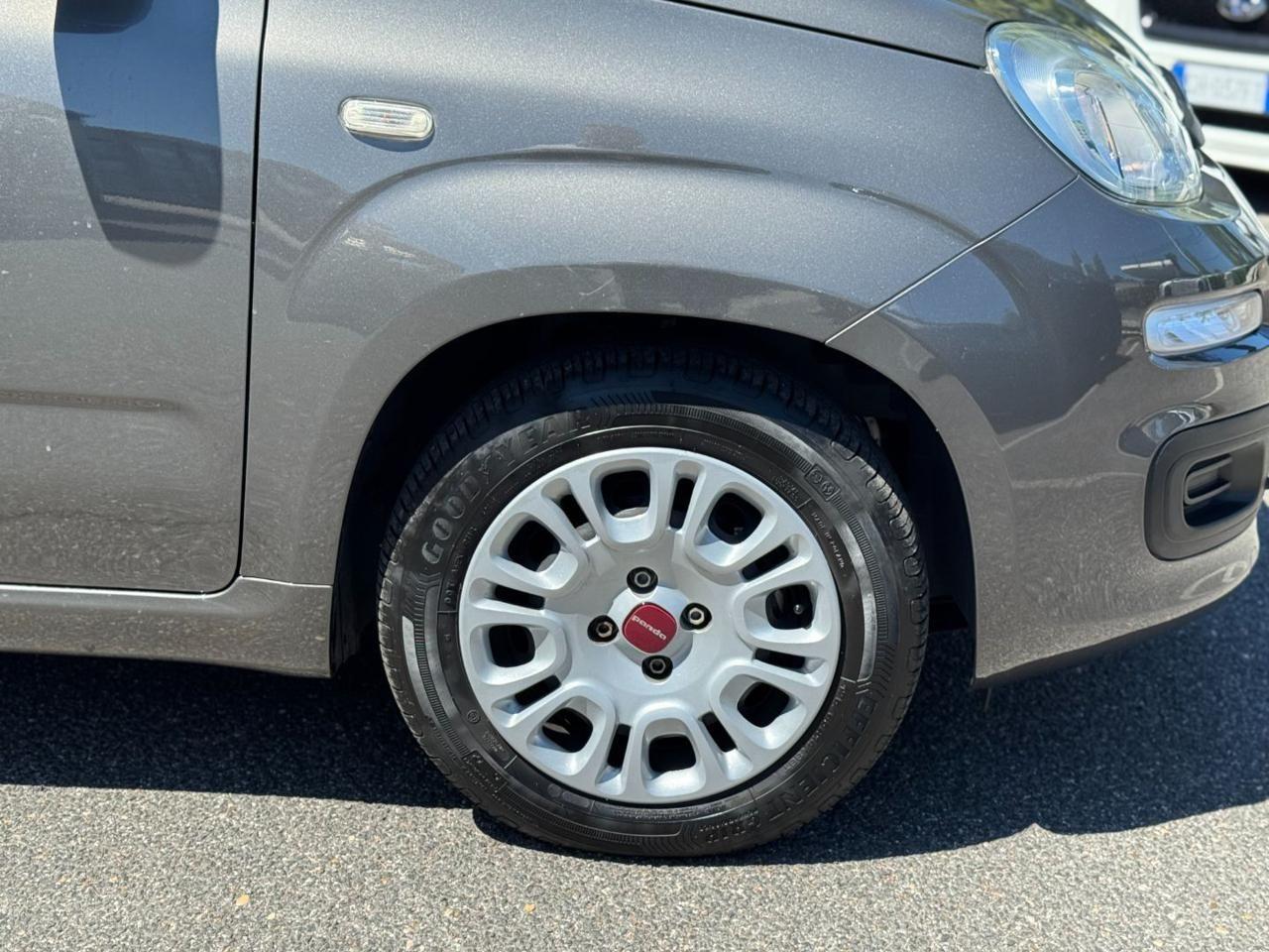 FIAT Panda 1.0 FireFly S&S Hybrid Sensori Parcheggio