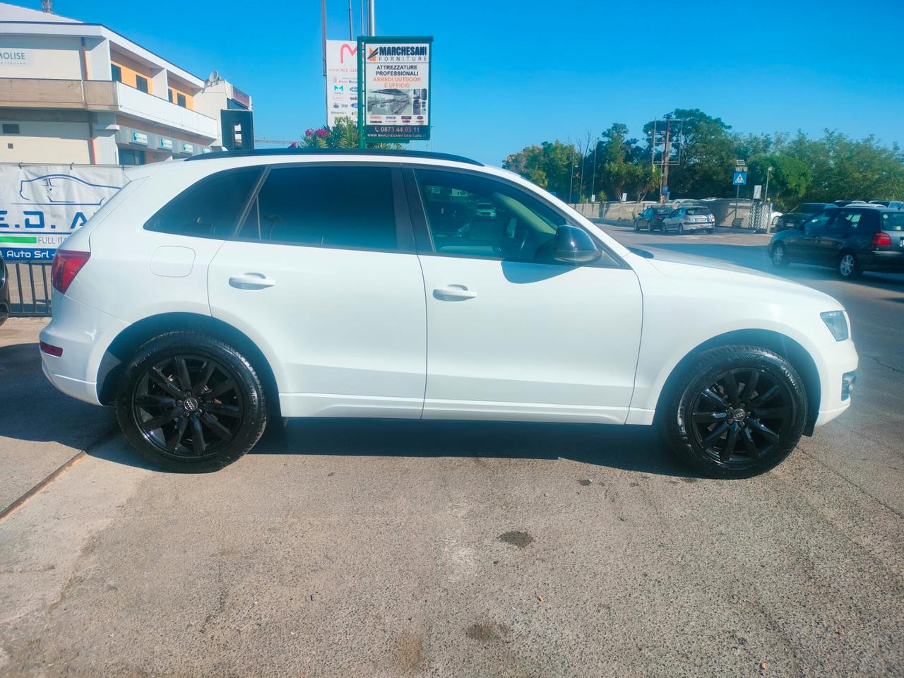 Audi Q5 2.0 TDI 177CV quattro S tronic Advanced Plus