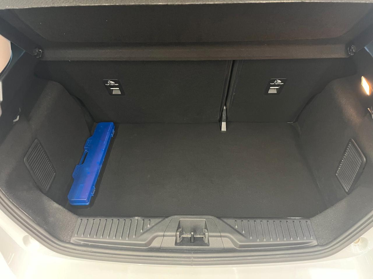 Ford Fiesta 1.0 Ecoboost Hybrid 125 CV 5 porte Active