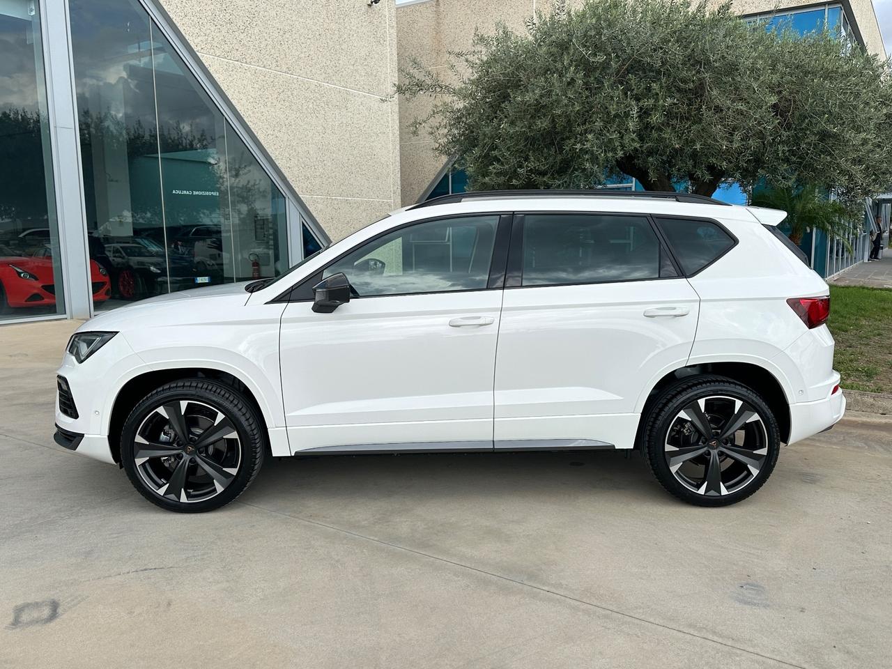 CUPRA Ateca 1.5 150cv dsg possibilità noleggio no scoring