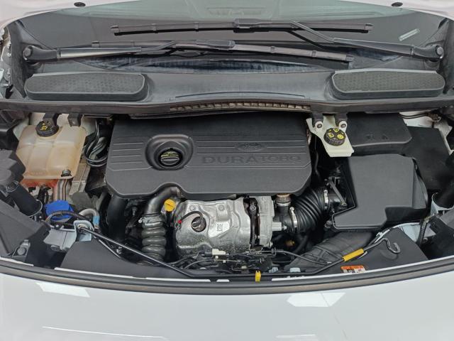 FORD Transit Connect TRANSIT CONNECT 1.5 120CV +IVA