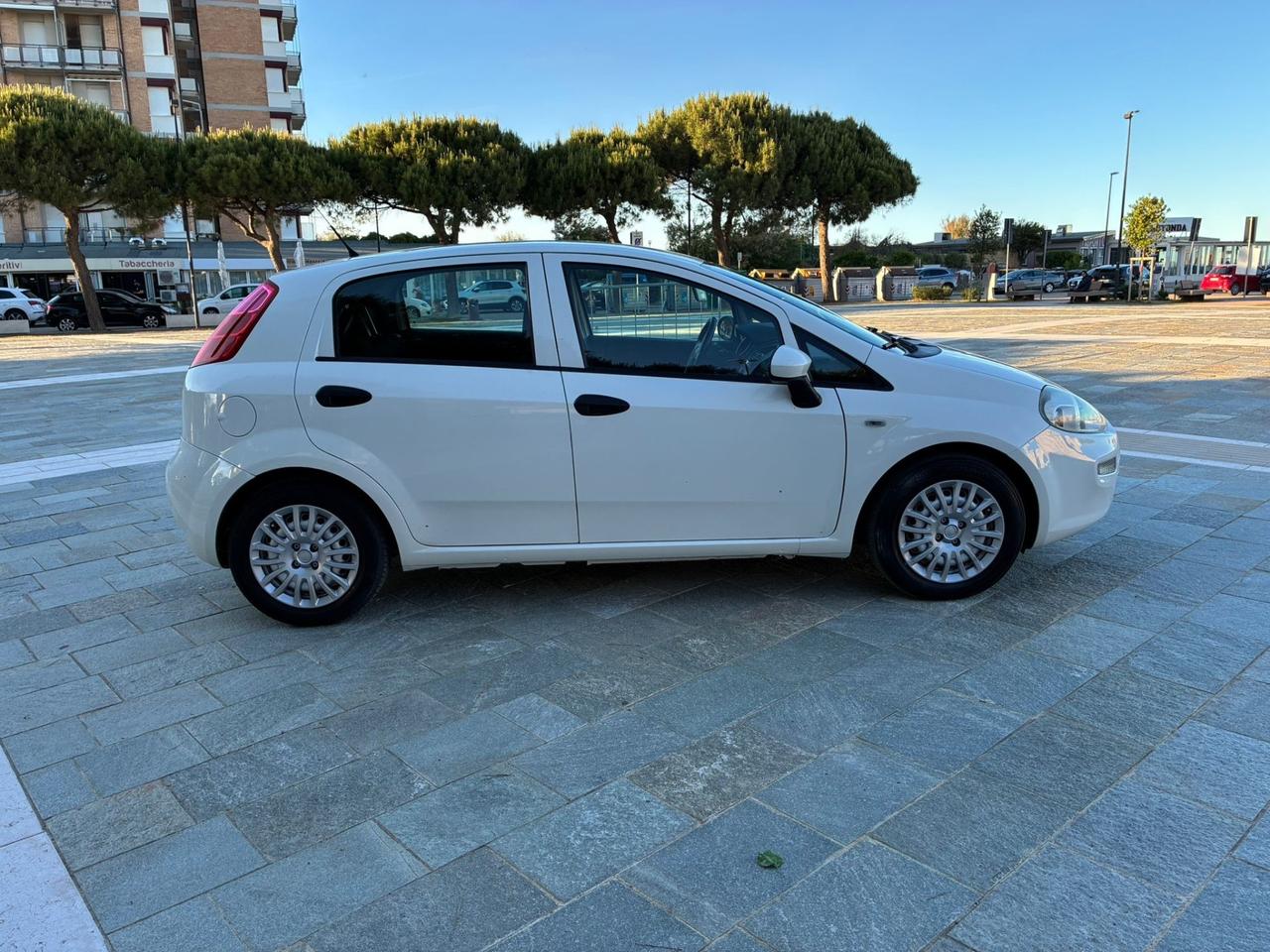Fiat Punto 1.3 MJT 95CV S&S 5 porte Van 4 posti N1