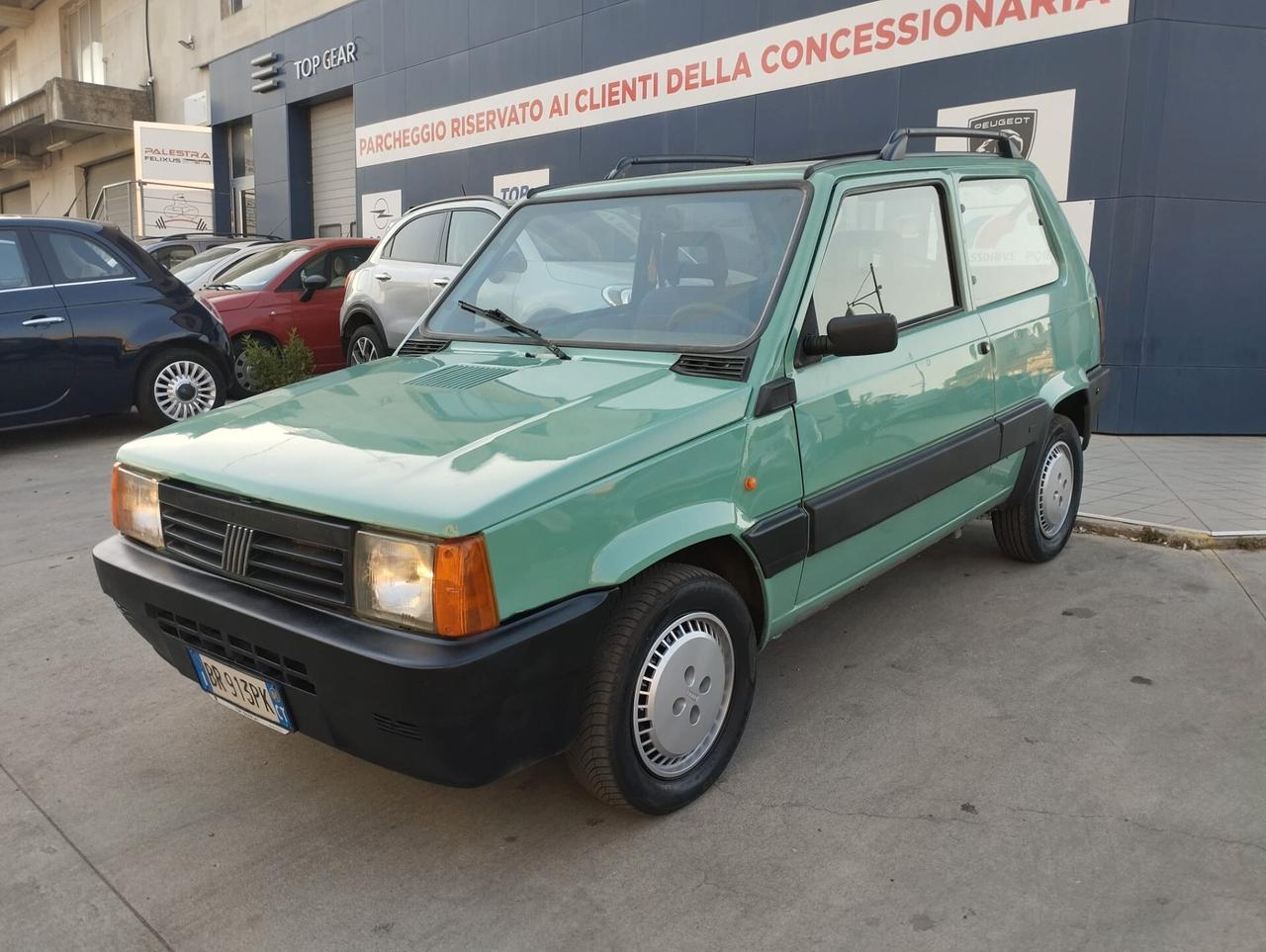 Fiat Panda 1100 i.e. cat Young