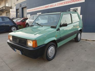 Fiat Panda 1100 i.e. cat Young