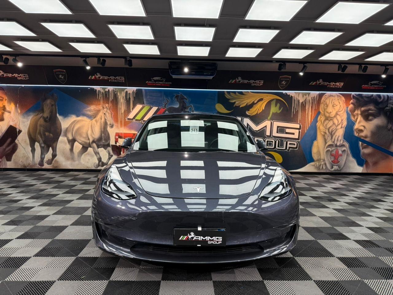 Tesla Model 3 Long Range AWD Performance (284)
