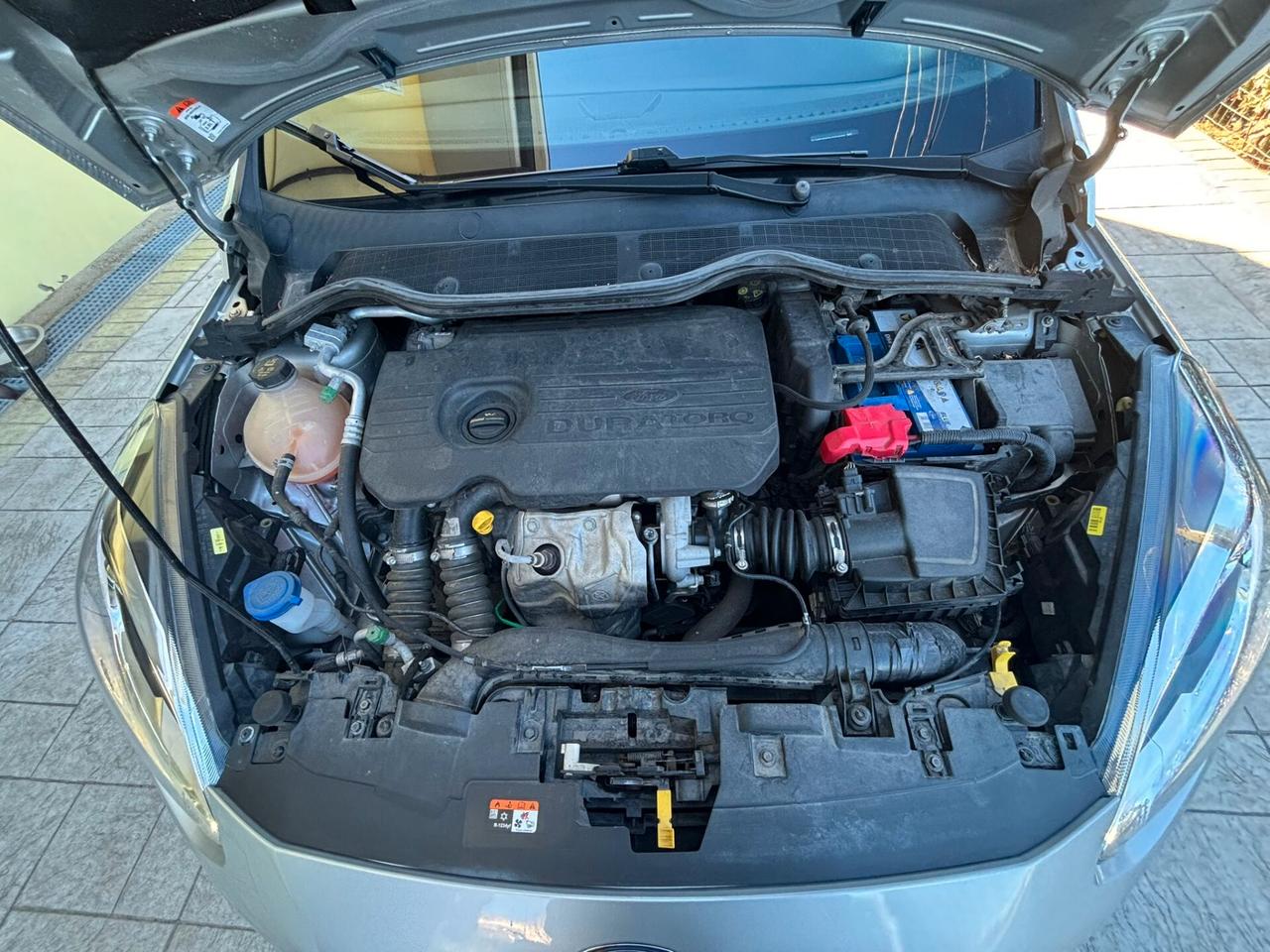 Ford Fiesta 1.5 TDCi 5 porte ST-Line