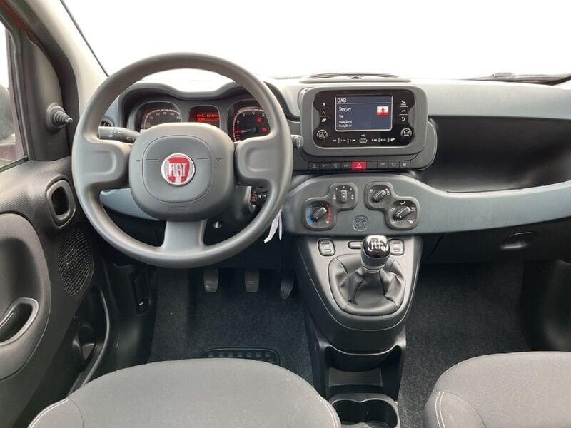 FIAT Panda My23 1.0 70cv Hybrid Panda