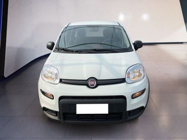 FIAT Panda My23 1.0 70cv Hybrid Panda