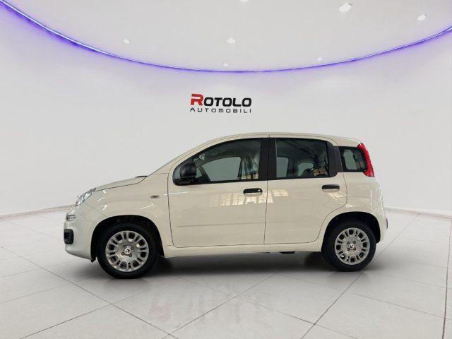 FIAT Panda 1.0 FireFly S&S Hybrid SENZA FINANZIAMENTO