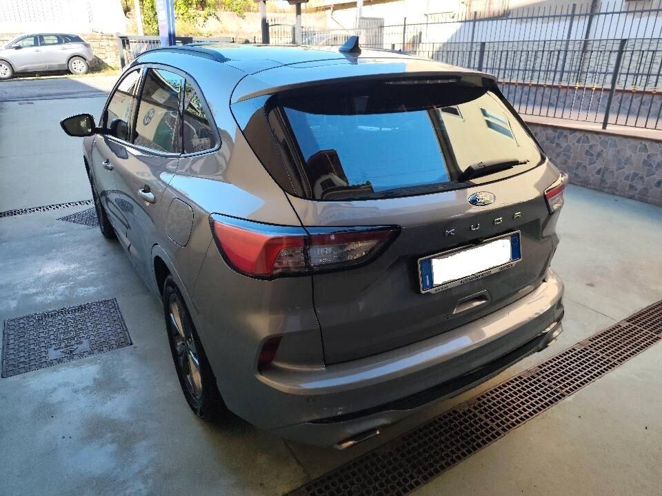 Ford Kuga 2.0 aut. ST-Line 120cv - 2023