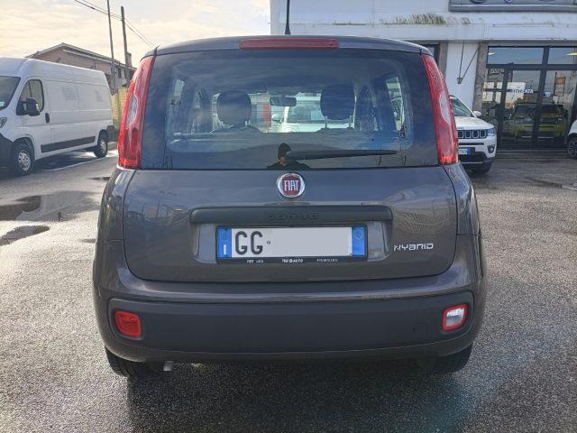 FIAT Panda 1.0 Hybrid UNIPRO, TAGLIANDI FIAT, PREZZO REALE