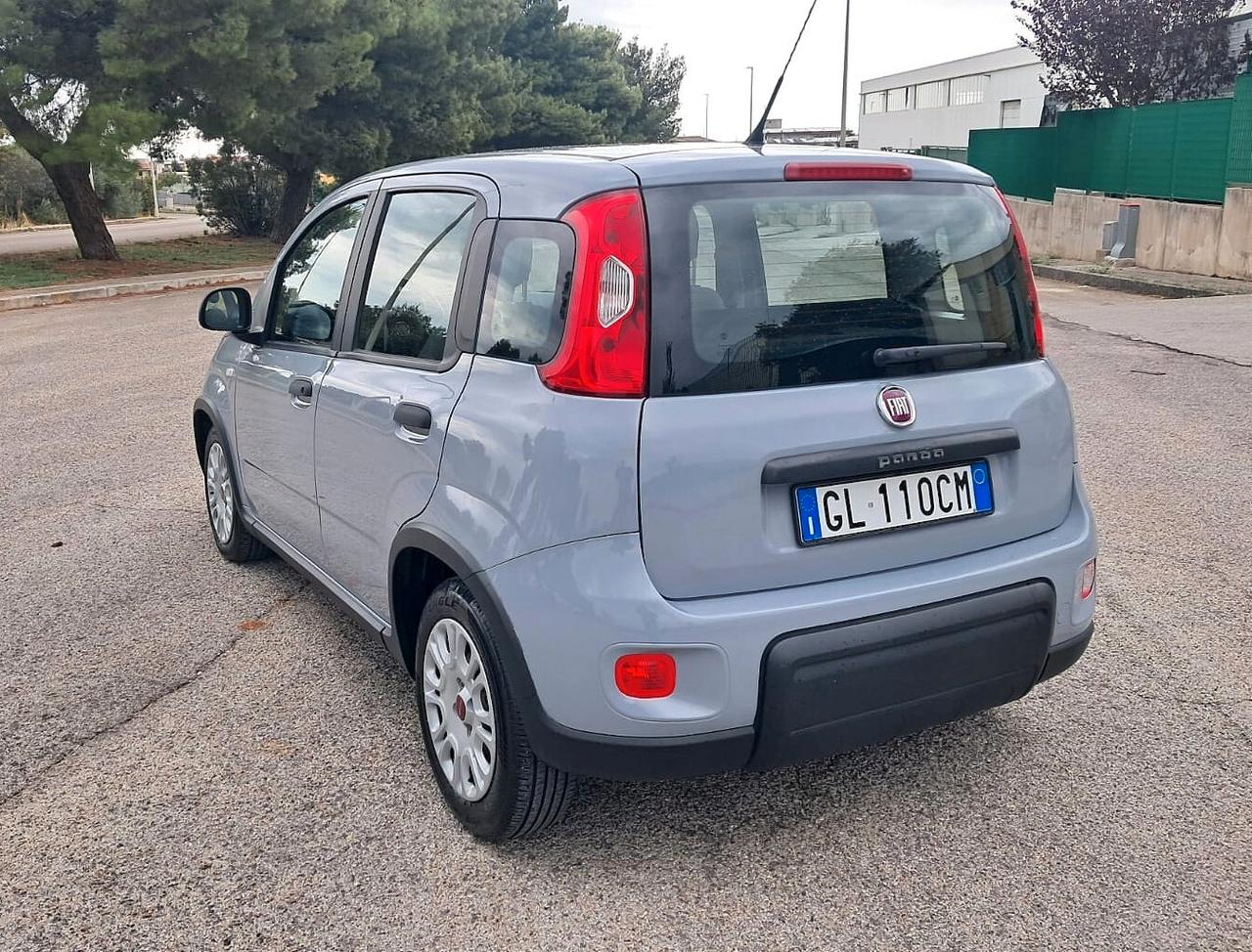Fiat Panda 1.0 FireFly S&S Hybrid (Iva Esposta)
