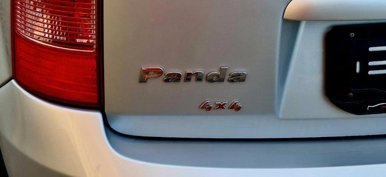 Fiat Panda 1.3 Mjt 70Cv 4x4 Climbing-02/2008