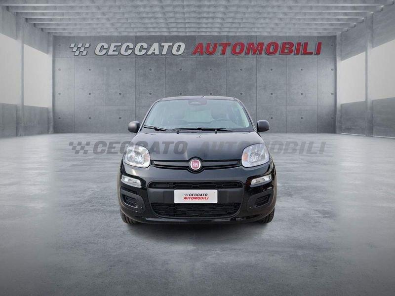 FIAT Panda Panda 1.0 firefly hybrid s&s 70cv