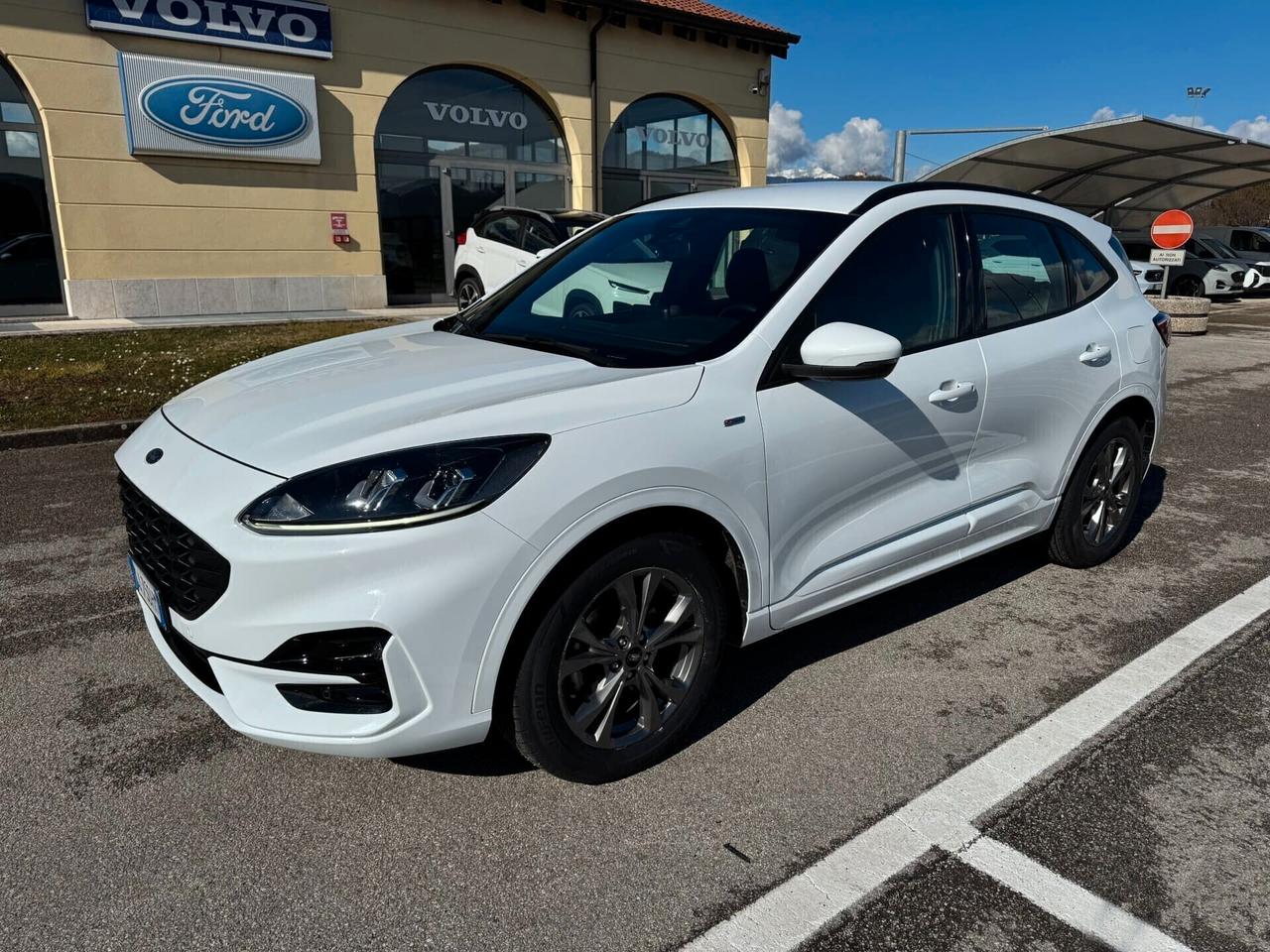 Ford Kuga St-Line 1.5 EcoBlue 120CV Automatica S&S
