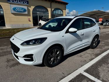 Ford Kuga St-Line 1.5 EcoBlue 120CV Automatica S&S