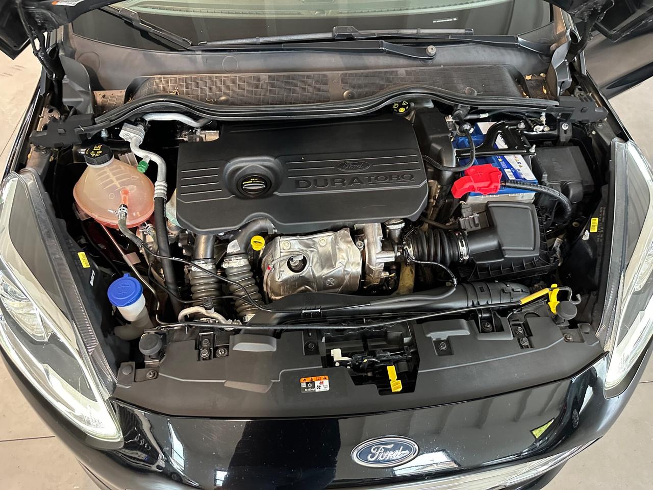 Ford Fiesta 1.5 EcoBlue 5 porte Vignale